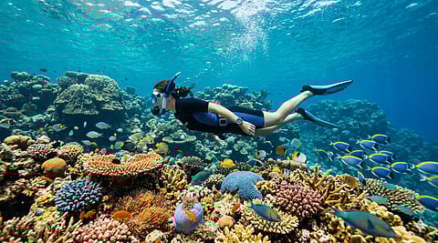 The compositions of most sunscreens available in the market are harmful to corals. Know how and why, and check out what you may use as alternatives