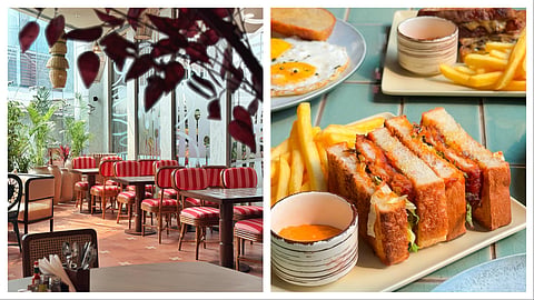 Interiors at Scarlet (L); chicken katsu sando (R)
