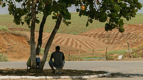 4 ways traditional communities use plants as their daily sunscreen
