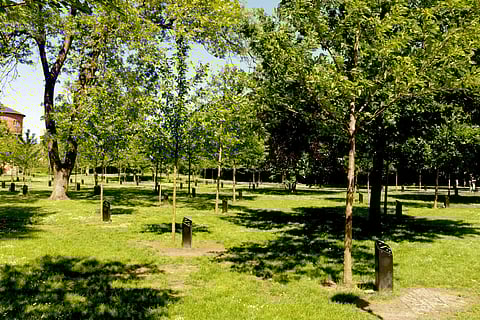 Park of Music, Aalborg