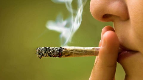 Pot users have more sex: Study