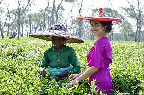Shenaz picking tea leaves in Assam