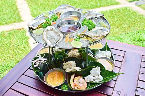 City’s first oyster bar opens at Eighth Bastion in Fort Kochi