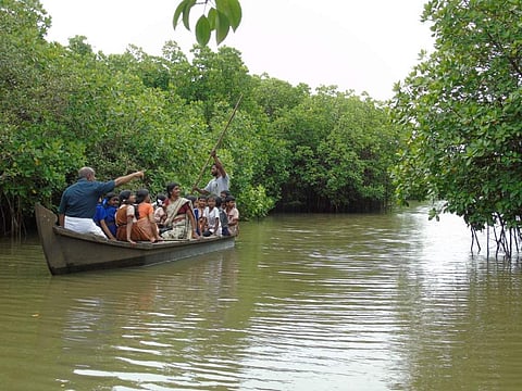 This eco movement in Kerala stresses the importance of mangroves