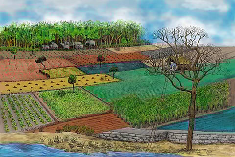 Ethicus' Matchmaker collection is a blend of farm and fashion