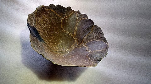 Priya's 'Tree of Life'