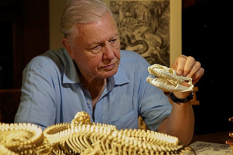 David Attenborough's Natural Curiosities