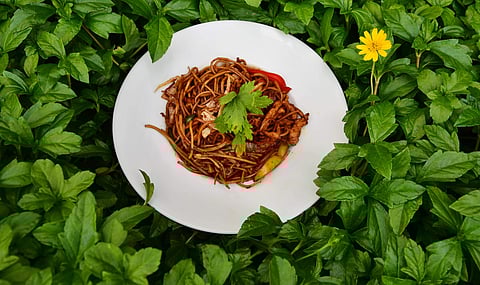 Taste of the Orient brings excellent options from the Far East