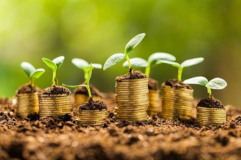 How to grow a money garden