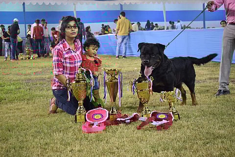 The Kolkata Kennel Club hosted its annual dog show on Sunday.