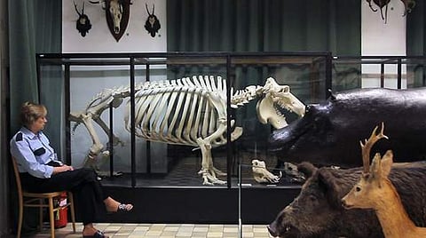 Still from : Labour in a Single Shot (Selection of 12 films), Magda Kulak| Natural History Museum  Harun Farocki and Antje Ehmann