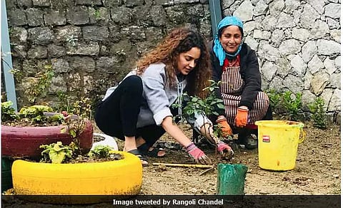 Kangana plants 31 trees to mark her 31st birthday