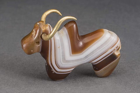 Humped Bull with Gold Horns