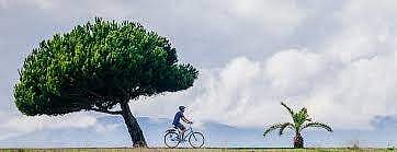 Celebrate Green at American Centre, Kolkata