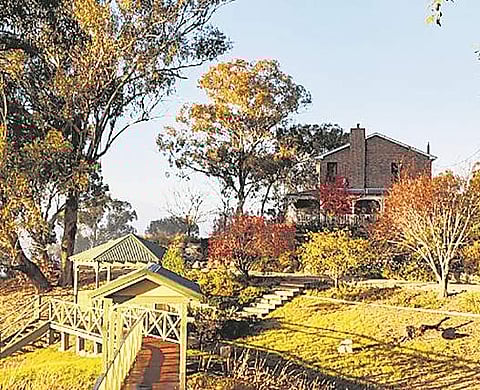 Discover New South Wales: Winetrails in the Australian outback