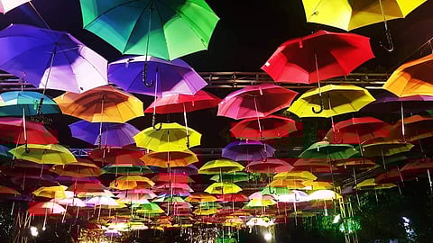 The Vizha Art Street