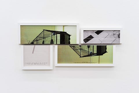 Shilpa Gupta's Altered Inheritance (detail)