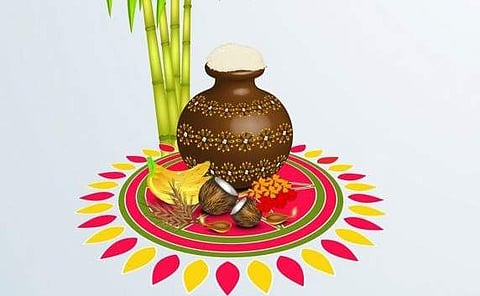 Pongal festival celebration
