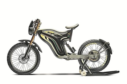 Polarity Smart Bikes