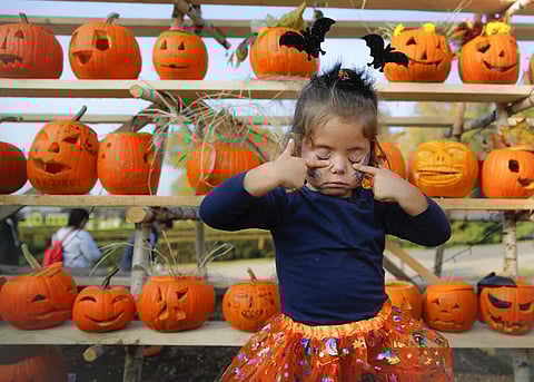 A little girl presses her eyelids after placing the pumpkin she carved on a shelf at The Halloween Pumpkin Fest in Bucharest, Romania. (AP Photo/Vadim Ghirda)