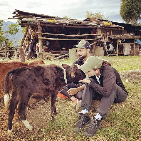 Anushka Sharma and Virat Kohli