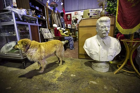 A dog walks past a bust of of Soviet leader Josef Stalin at the Museum of Industrial Culture in a dilapidated industrial zone of Moscow, Russia. (AP Photo/Alexander Zemlianichenko)