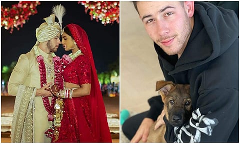 Days before their first anniversary, Priyanka Chopra surprises Nick Jonas with a German shepherd puppy