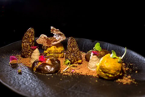 Textures of Mushroom