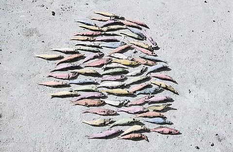 Vasantha Yogananthan, Magic Fishes (2013) Courtesy of Jhaveri Contemporary