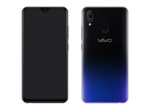 Vivo