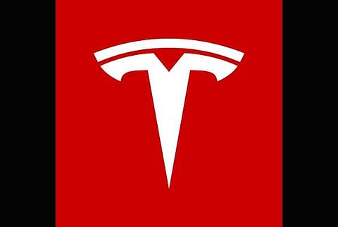Tesla (Photo: IANS)