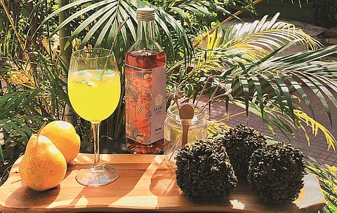 A glimpse of Kombu Chai's passion fruit flavour that is releasing later this month