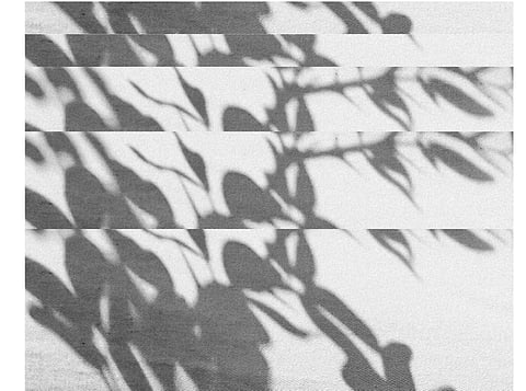 How White is White explores the sensorial experience associated with the colour white