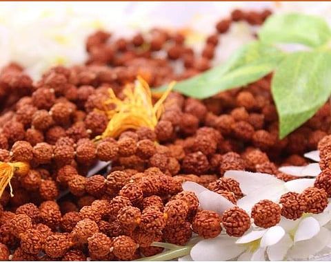 Rudralife offers genuine and high-quality beads