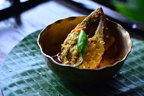 Ilish Barishali