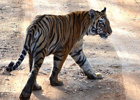 The changing faces of nature make up the subject of Subhrendu Halder's photos
