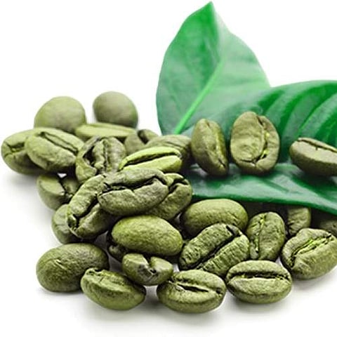 This World Yoga Day, go green with green coffee says Nutritionist and Wellness expert Sheryl Salis