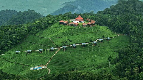 Vajor Escapes hosts a three-day getaway to the Nilgiris