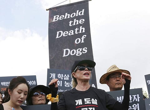 In Pics: Kim Basinger shouts out for anti-dog meat in Seoul on 'dog meat day' among opposing rallies
