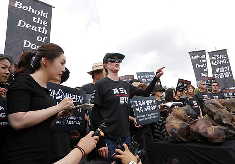 American actress Kim Basinger rallies in Seoul against Korean dog meat rules