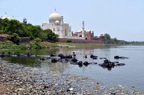 A view of Yamuna River (File Photo: IANS)
