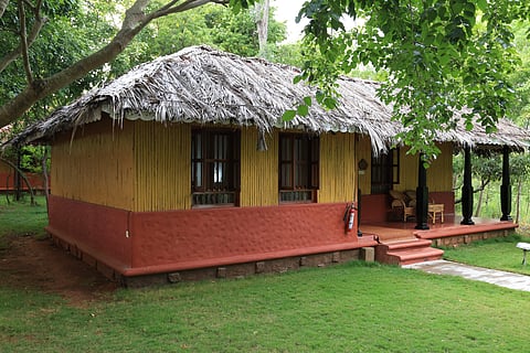 A luxury cottage at Indus Valley Ayurvedic Centre