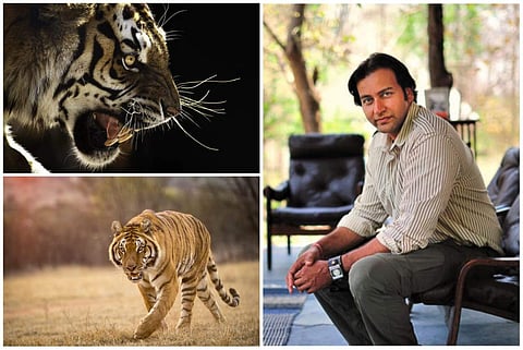 Tiger-man of India, Kailash Sankhala's grandson Amit Sankhala on 'Tigerland' that focuses on his grandfather's work and the role local communities and tourism play in the conservation process
