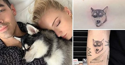 Sophie Turner, Joe Jonas get matching tattoos in memory of pet dog who died