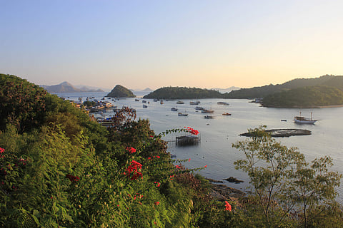 Flores Island, Indonesia