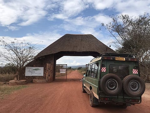 Karisoke remains the longest running gorilla field study site dedicated to the conservation, protection and study of gorillas and their habitats in Africa. (All pics: Red Scarab)
