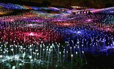 An art installation by Bruce Munro (AP Photo/John Rogers)
