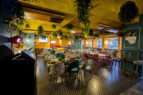 Interiors at Trippin Town