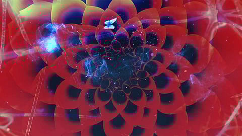 Michelle Poonawalla 's new digital film Circle of Life is part of a new media exhibition titled Sky’s The Limit