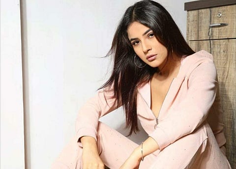 I admire Shehnaaz a lot. She has opened the doors for more Punjabi talent in the Hindi entertainment industry, especially Bigg Boss, said model Shehzad Deol